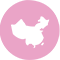 宠物回国